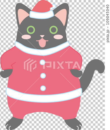 サンタの格好をした可愛い猫_サンタの格好をした黒猫 109845040