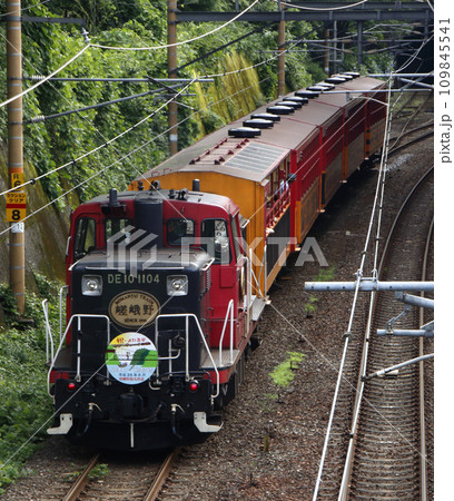 嵯峨野観光鉄道:トロッコ列車(京都府京都市) 嵯峨野観光鉄道:トロッコ列車(京都府京都市) 109845541
