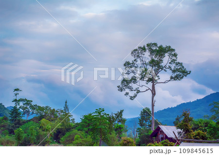 Landscape in Thailand 109845615