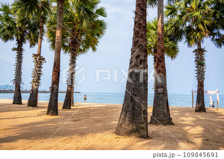 Beachside atmosphere Beachside atmosphere 109845691