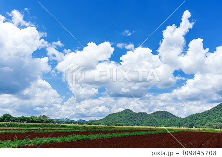 Landscape in Thailand 109845708