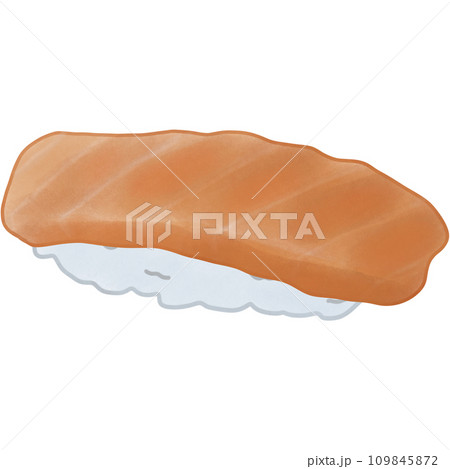 Sushi salmon 109845872