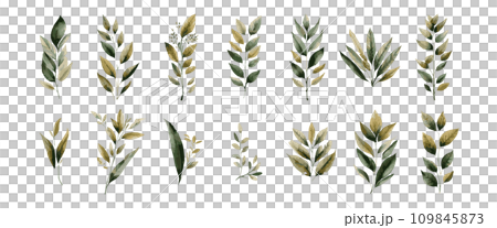 草和植物向量插圖集 109845873