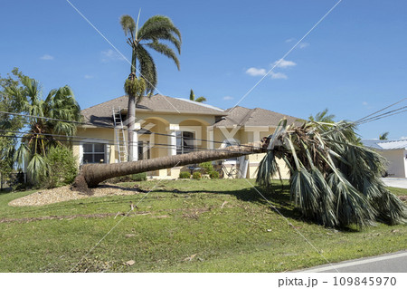 Electricity outage as consequences of natural disaster. Damaged power lines after hurricane wind broke tree limbs in Florida suburban area Electricity outage as consequences of natural disaster. Damaged power lines after hurricane wind broke tree limbs in Florida suburban area 109845970