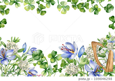 St.Patricks day frame with spring flowers and shamrock in botanical art watercolor illustration isolated on white. Painted clover with harp. Irish symbol hand drawn. Design for package, banner 109846298