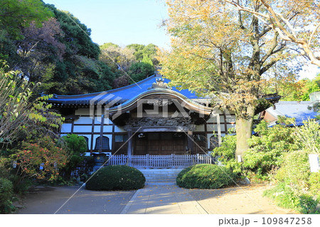 国分寺 東京都国分寺市西元町 国分寺 東京都国分寺市西元町 109847258