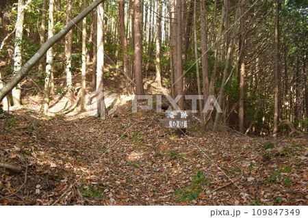 丹波国 明智光秀が築いた「金山城」の周辺 登城道 鬼の架け橋 丹波国 明智光秀が築いた「金山城」の周辺 登城道 鬼の架け橋 109847349