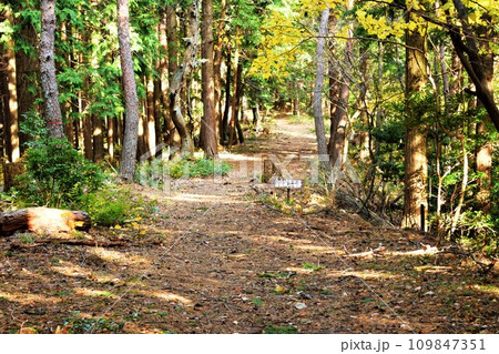 丹波国 明智光秀が築いた「金山城」の周辺 登城道 丹波国 明智光秀が築いた「金山城」の周辺 登城道 109847351