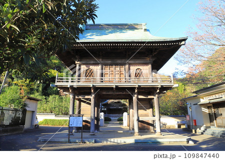 国分寺　東京都国分寺市西元町 109847440