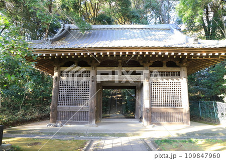 国分寺仁王門 東京都国分寺市西元町 国分寺仁王門 東京都国分寺市西元町 109847960