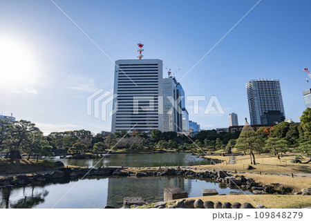 旧芝離宮庭園の朝 109848279