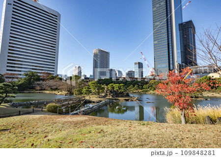 旧芝離宮庭園の朝 109848281