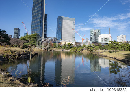 旧芝離宮庭園の朝 旧芝離宮庭園の朝 109848282
