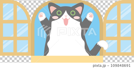 貓和窗戶_窗戶和貓_黑白八件燕尾服貓在窗戶裡快樂地玩耍 109848691