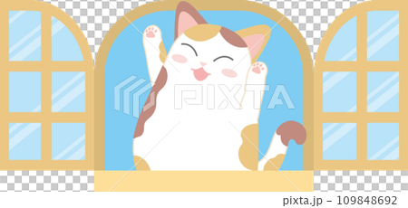 Cat and window_Window and cat_Calico cat playing in the window 109848692