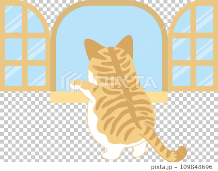 猫と窓_窓と猫_窓の外を覗き込む茶トラ猫_後ろ姿_全身 猫と窓_窓と猫_窓の外を覗き込む茶トラ猫_後ろ姿_全身 109848696