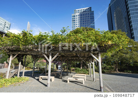 旧芝離宮恩賜庭園藤棚 旧芝離宮恩賜庭園藤棚 109848717