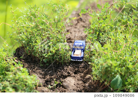 悪路を走るミニカーのトラック AI生成画像 悪路を走るミニカーのトラック AI生成画像 109849086