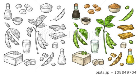 Soy food set. Miso, tofu skin, soybean, sauce 109849704
