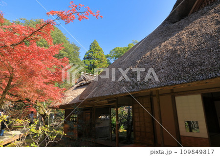 快晴の青空と真っ赤な紅葉のコントラストが美しい秋の佐賀九年庵 快晴の青空と真っ赤な紅葉のコントラストが美しい秋の佐賀九年庵 109849817
