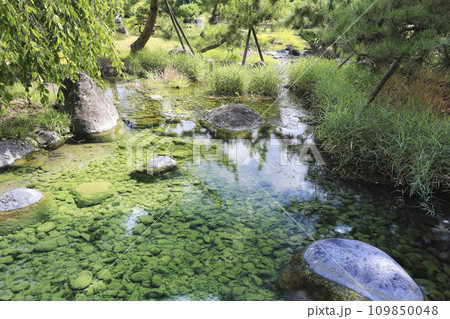 富山 富山城址公園の日本庭園 富山 富山城址公園の日本庭園 109850048