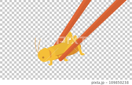 箸で虫をつまむイラスト	 109850238