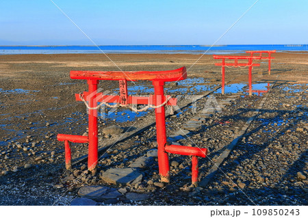 【佐賀県】干潮の大魚神社の海中鳥居 109850243