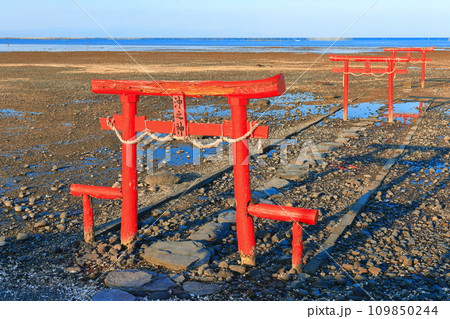 【佐賀県】干潮の大魚神社の海中鳥居 109850244