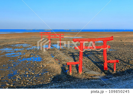 【佐賀県】干潮の大魚神社の海中鳥居 109850245