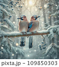 AI-generated content. Two jay birds sitting on a branch in a snowy forest 109850303