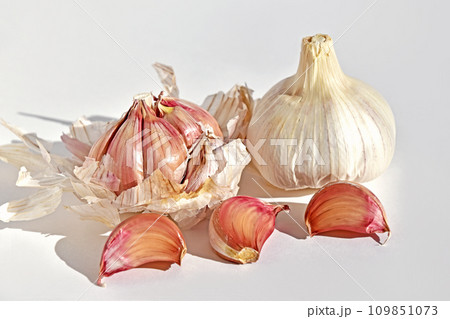 紫ニンニク 109851073