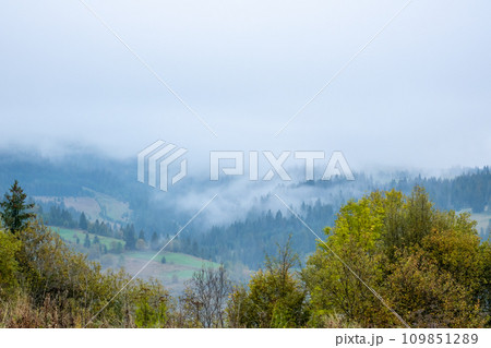 Very Thick Fog over the Forested Carpathians Mountains Very Thick Fog over the Forested Carpathians Mountains 109851289