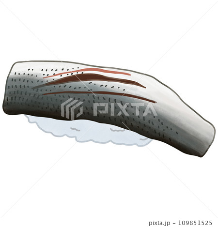 Sushi raw fish 109851525