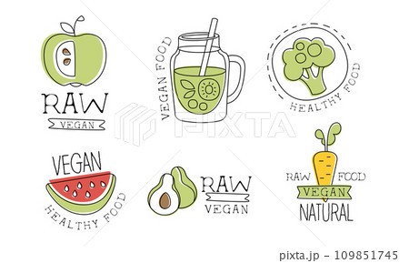 Raw Vegan Food Labels Set, Healthy Natural Raw Vegetarian Food Hand Drawn Labels Vector Illustration 109851745