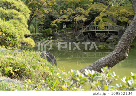 日比谷公園の雲形池と橋 109852134