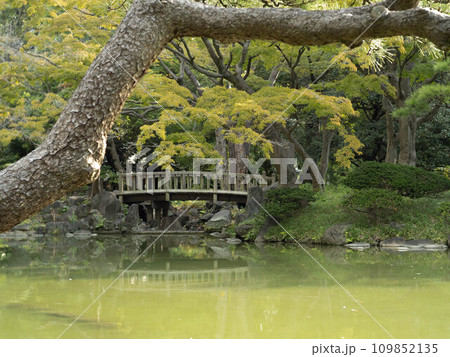日比谷公園の雲形池と橋 日比谷公園の雲形池と橋 109852135