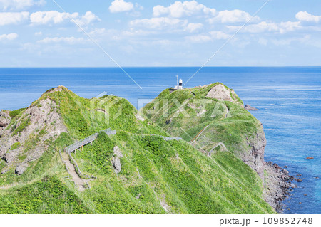 北海道積丹町　有名な観光名所　緑が美しい夏の神威岬 109852748