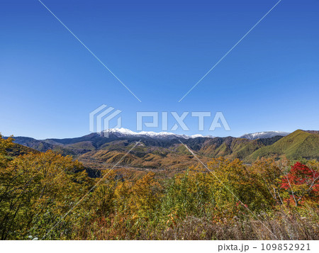 秋の乗鞍高原（2023年） 109852921