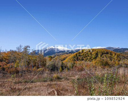 秋の乗鞍高原(2023年) 秋の乗鞍高原(2023年) 109852924