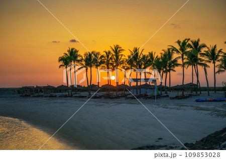Sunset at Hawana Beach in Salalah, Oman with palm trees 109853028