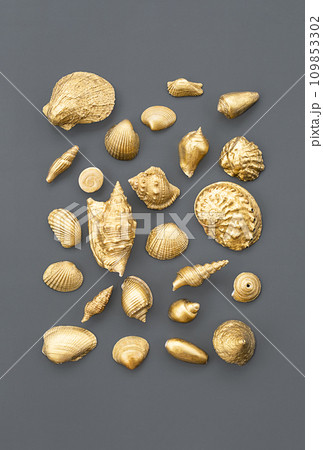 Gold coloured seashells collection. 109853302