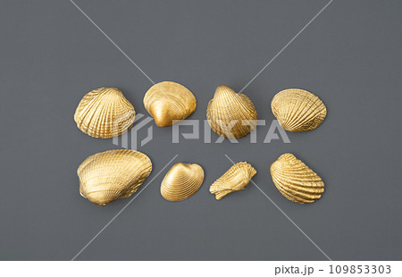 Golden shells arranging on grey. 109853303