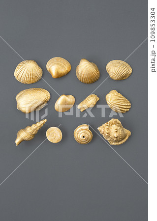Golden shells arranging on grey. Golden shells arranging on grey. 109853304