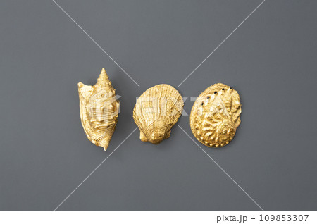 Golden shells arranging on grey. 109853307