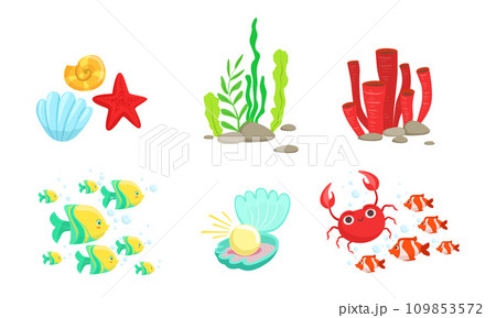 Underwater World Elements Set, Tropical Fishes, Algae, Corals, Crabs, Sea Shell Vector Illustration Underwater World Elements Set, Tropical Fishes, Algae, Corals, Crabs, Sea Shell Vector Illustration 109853572