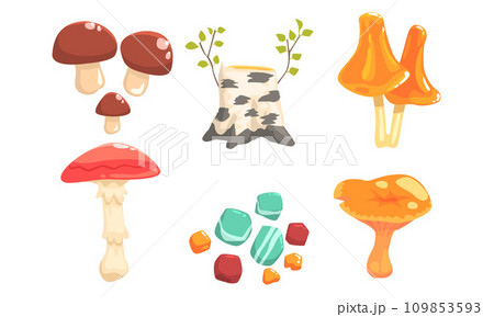 Nature Forest Landscape Elements Set, Plants, Stones, Birch Stump, Mushrooms Vector Illustration 109853593
