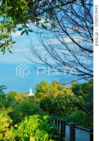 関崎海星館 佐賀関 大分県 関崎海星館 佐賀関 大分県 109853645