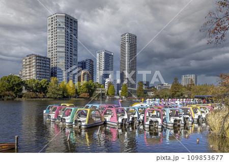 lake in Ueno Park in Tokyo 109853677