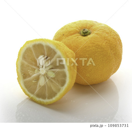 柚子 ( 白バック ) 柚子 ( 白バック ) 109853731