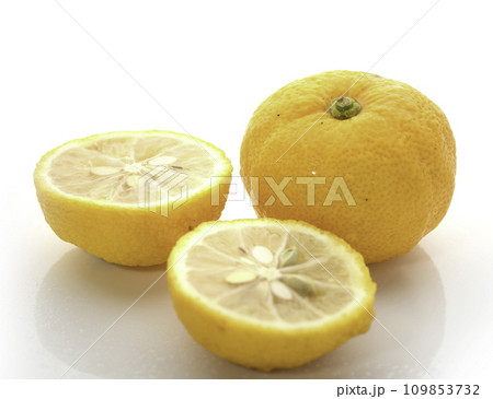 柚子  ( 白バック ) 109853732